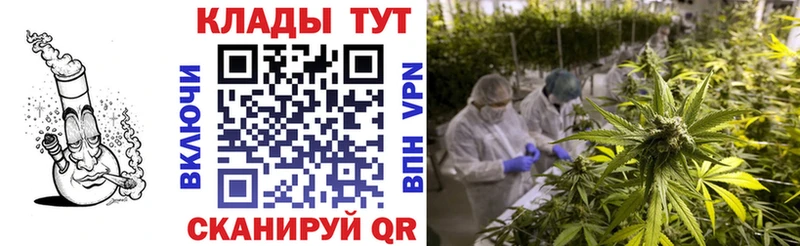 Купить наркотики Губаха ГАШИШ  Каннабис  ТГК  Меф  КОКАИН  А ПВП 