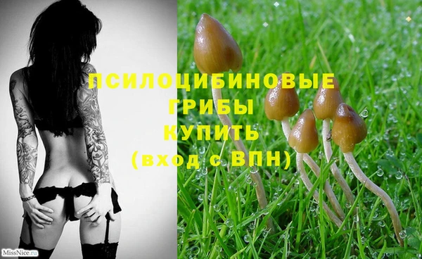 прущий лед Балахна