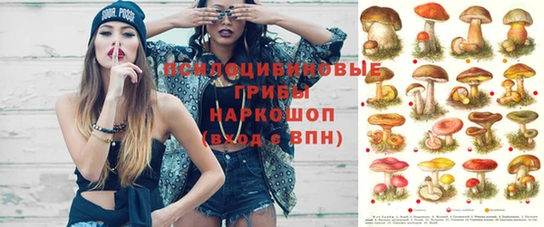 прущий лед Балахна