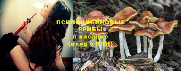 прущий лед Балахна