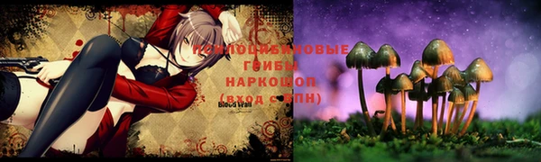 прущий лед Балахна