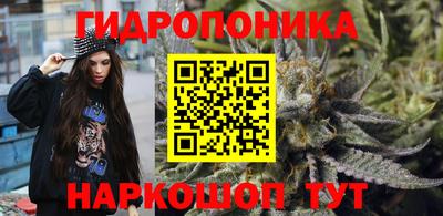 герыч Гатчина