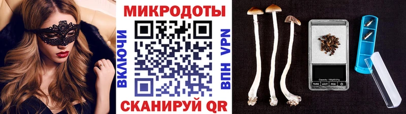 Псилоцибиновые грибы прущие грибы  Губаха 