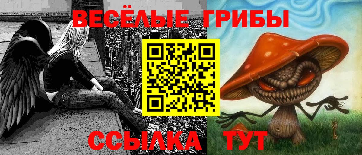 Псилоцибиновые грибы Psilocybine cubensis  Вход с VPN  купить  сайты  Губаха 