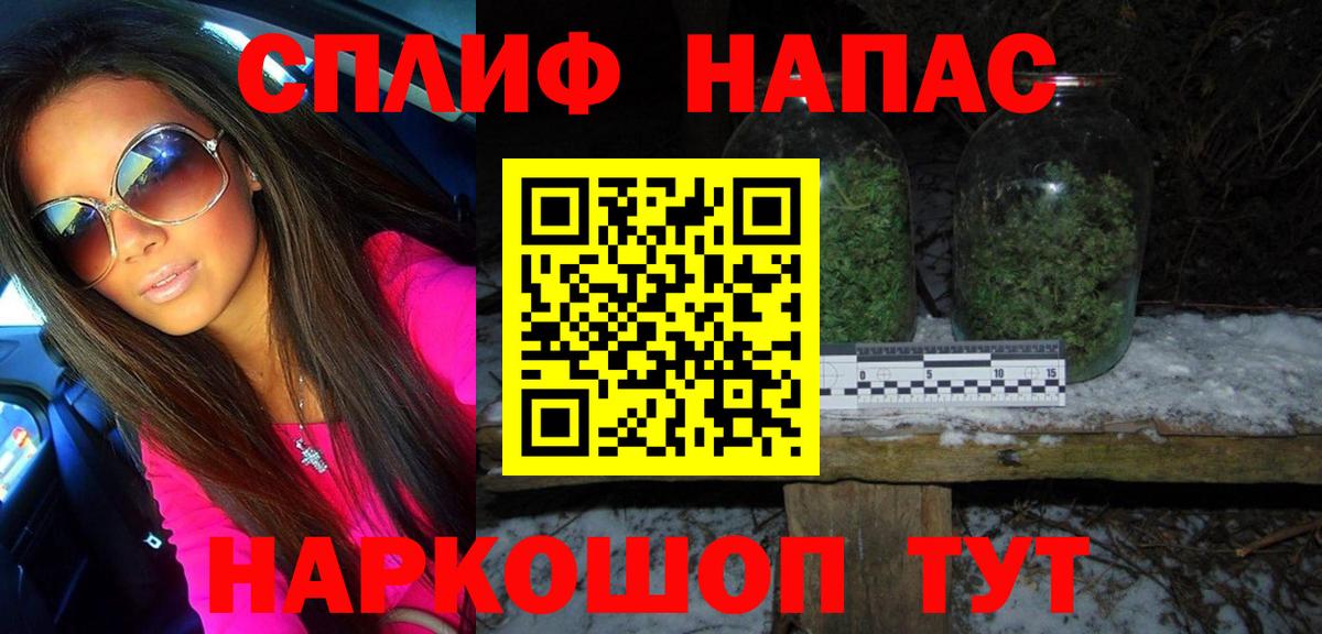 Каннабис планчик  Бошки марихуана MAZAR  Конопля сатива  Вход с VPN  Губаха 